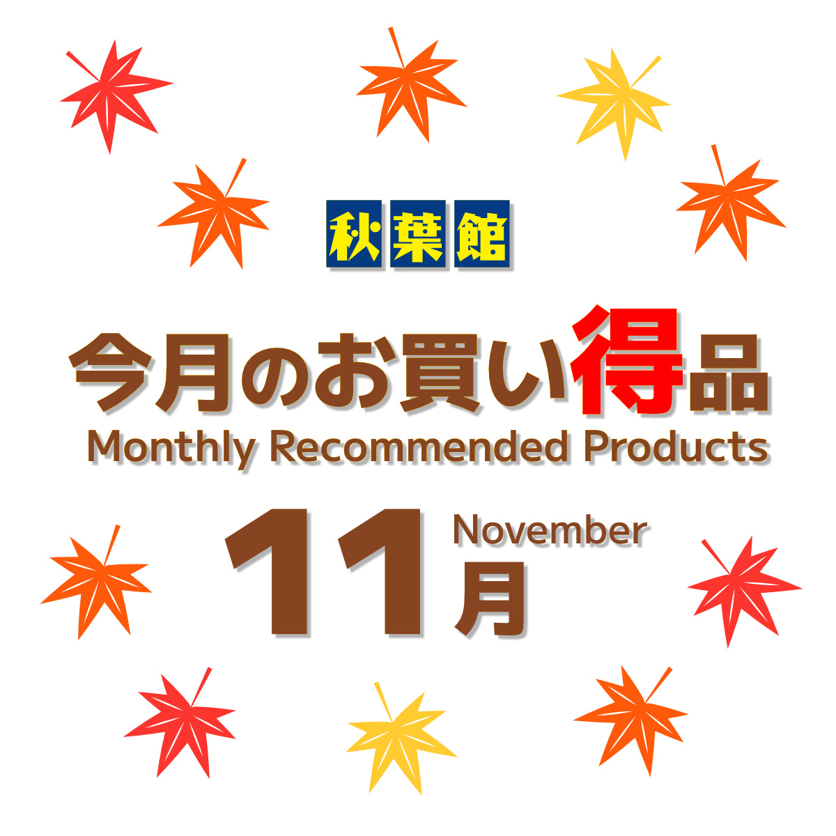 11月のお買い得品！