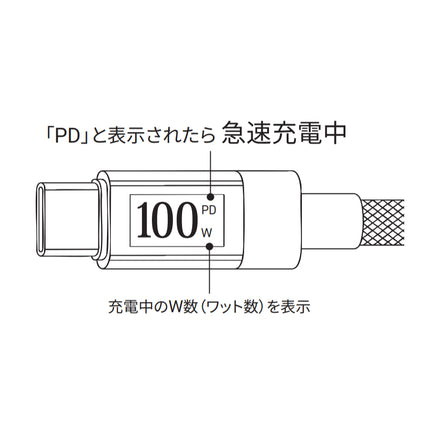 PD100W対応ワットメーター付CtoCケーブル 1m [HD-WTCC100201BK]