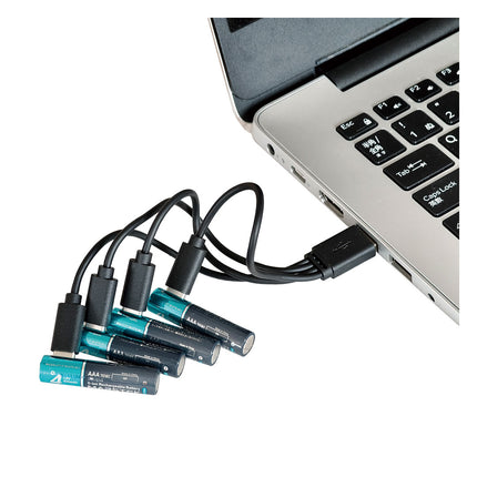 MARSTEK リチウムイオン充電池 単4形４本セット [SD 7018C(4P)]