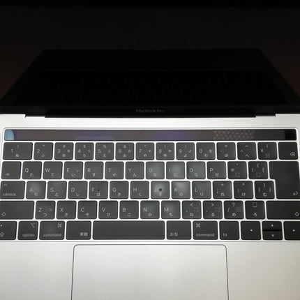 MacBook Pro Touch Bar / 13インチ / Mid 2019 / 8GB / 256GB / シルバー / ランク:B / MUHR2J/A / 【中古品管理番号:36249】