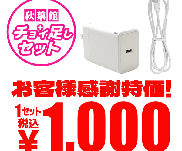 USB-C PD45W充電器＆USB-C充電ケーブル(2m)セット [DA-45WC1PWH+L