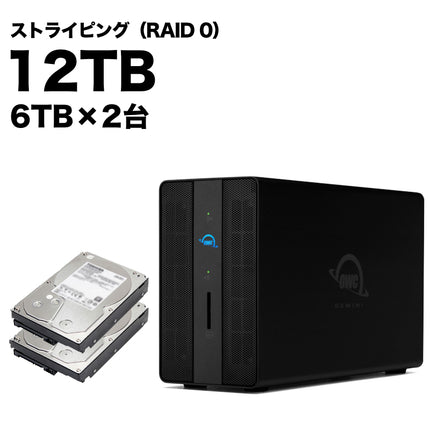 OWC GEMINI ストライピングモデル 12TB [OWCTB3GM000-S12T]