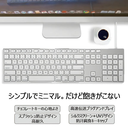 Mac用アルミキーボード英語配列 シルバー [KB-USB-AL]